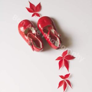 A nostalgic vertical photo of retro red children's shoes and vibrant red autumn leaves on a white background for fiction book cover design by Bon Arte Photography.